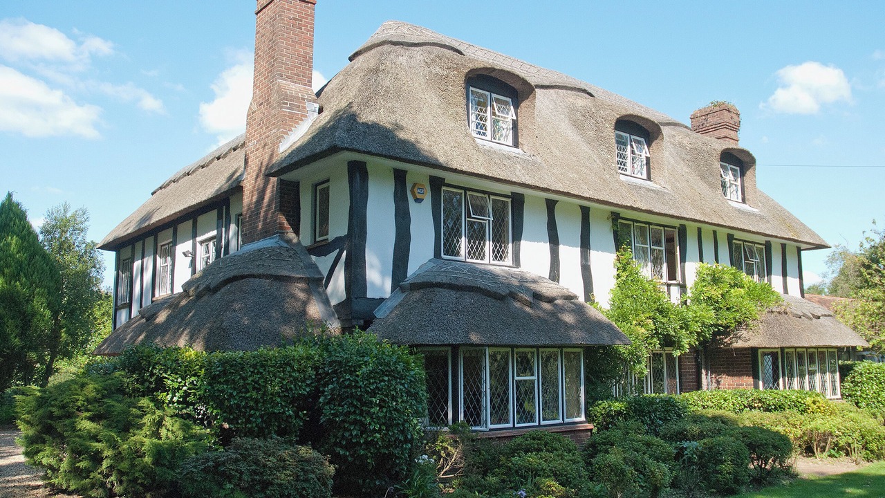 Photo of Outdoor in New Forest District