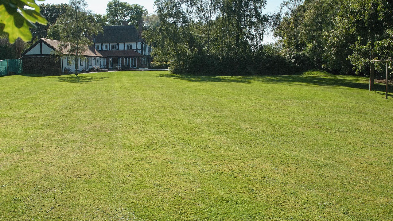 Photo of Outdoor in New Forest District
