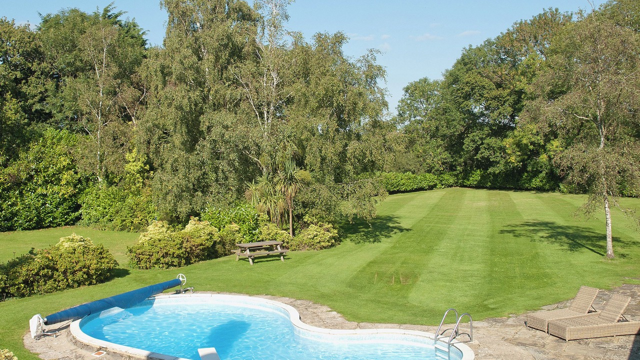 Photo of Outdoor in New Forest District