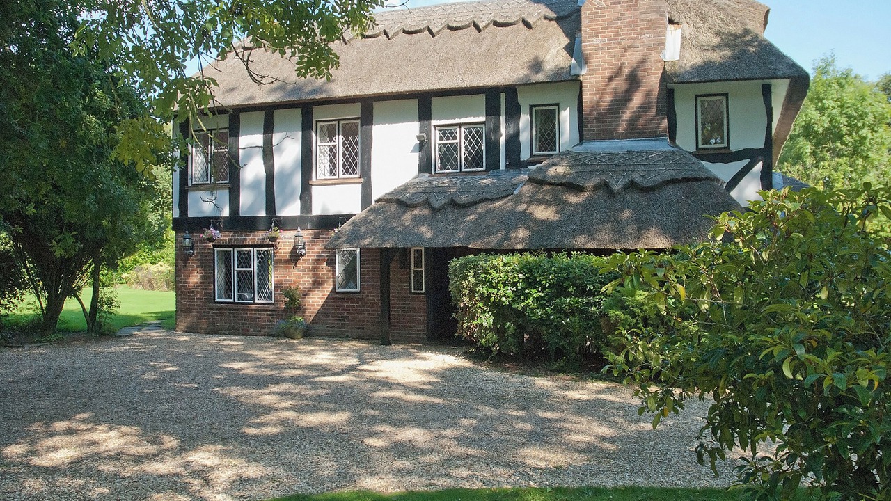 Photo of Outdoor in New Forest District
