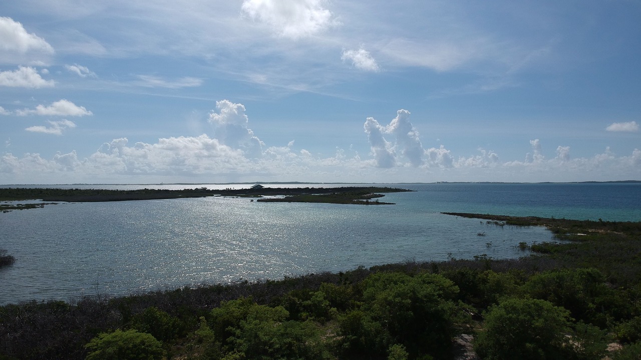 Photo of Others in Lubbers Quarters Cay