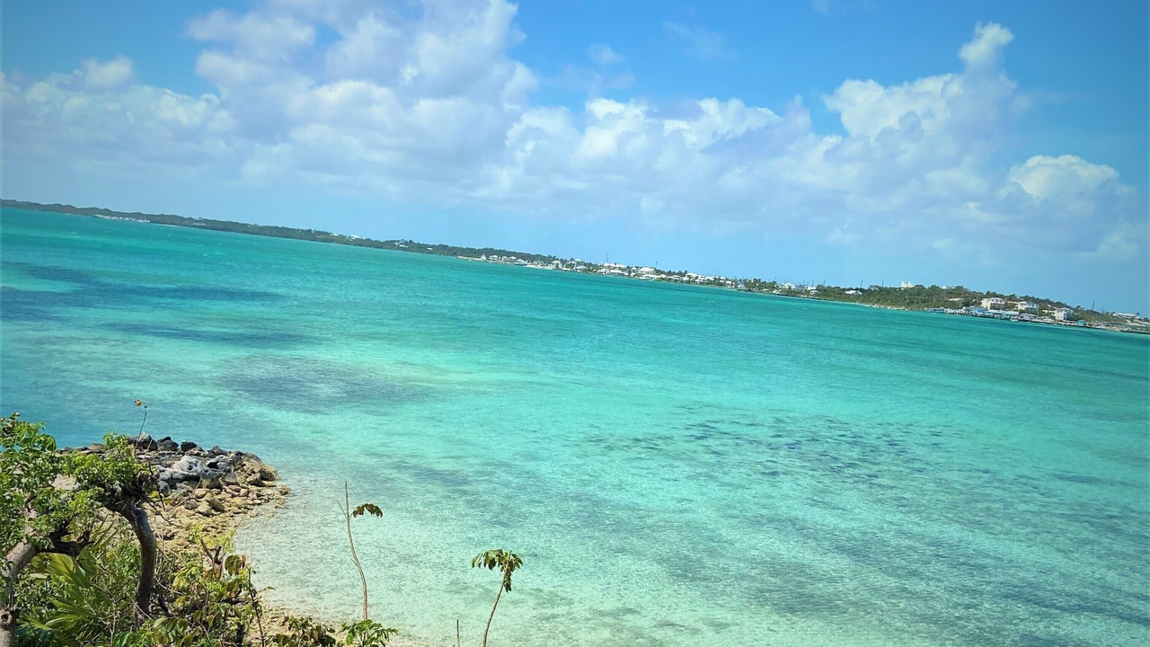 Photo of Others in Lubbers Quarters Cay