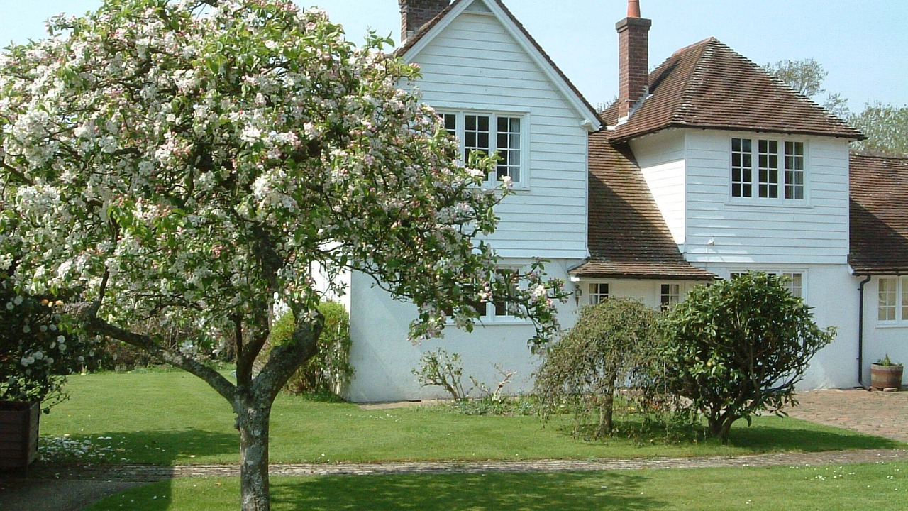 Photo of Outdoor in Burley