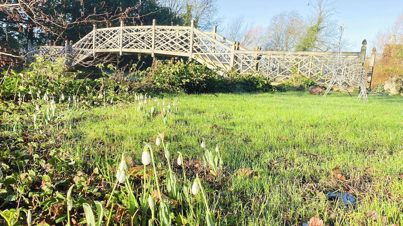 Photo of Outdoor in Godmanchester