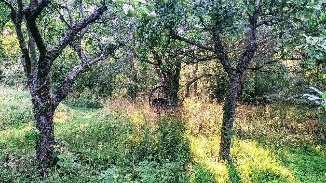 Photo of Outdoor in Emberton