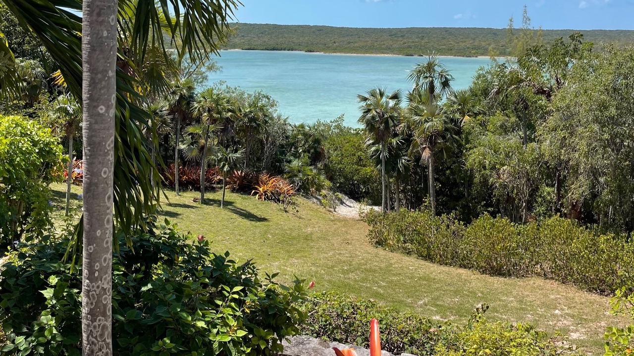 Photo of Outdoor in Savannah Sound