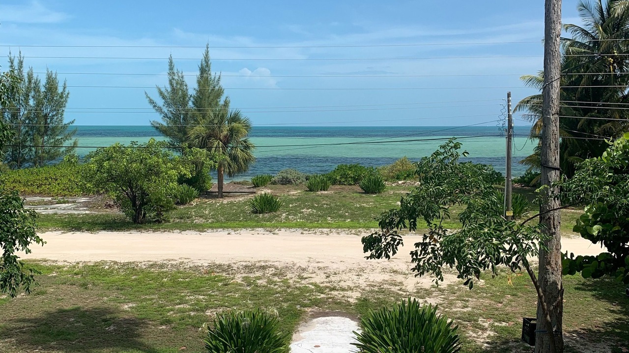 Photo of Outdoor in Port Royal