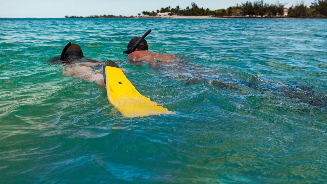 Photo of Others in Nassau
