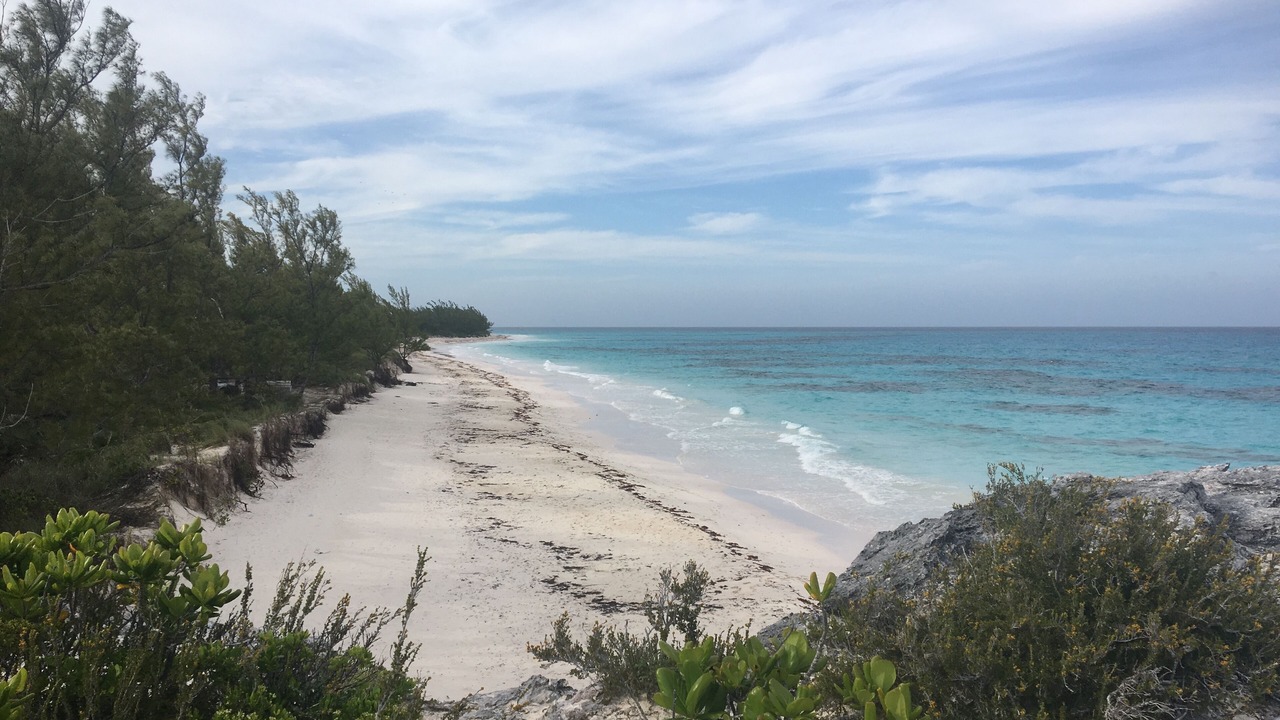 Photo of Others in Rainbow Bay