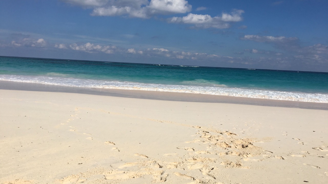 Photo of Others in Rainbow Bay