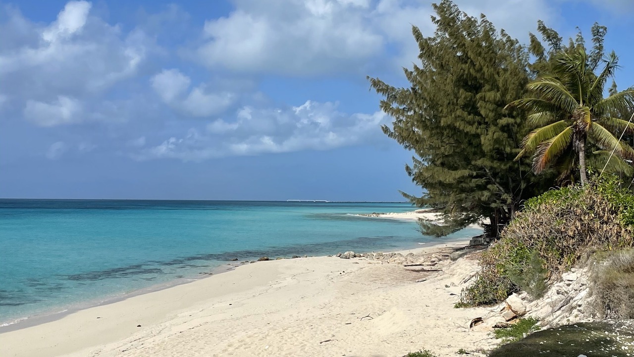 Photo of Others in South Bimini