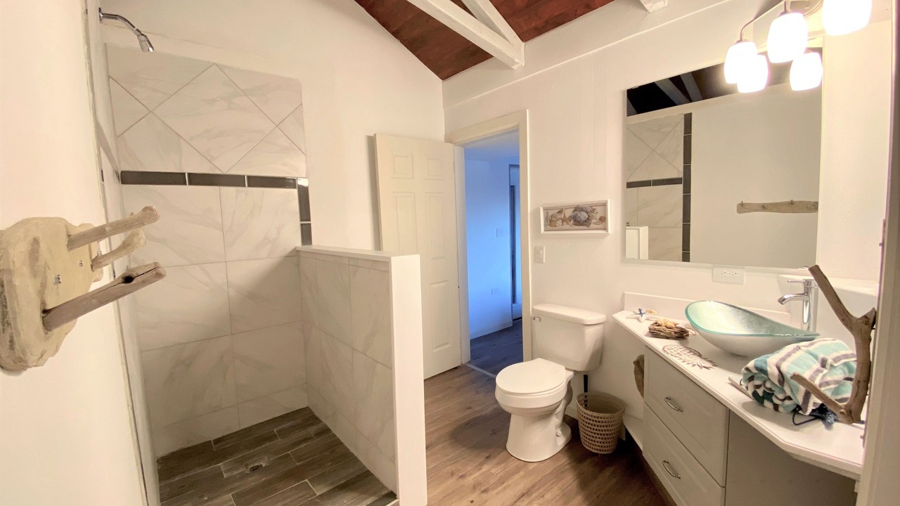 Photo of Bathroom in Gregory Town
