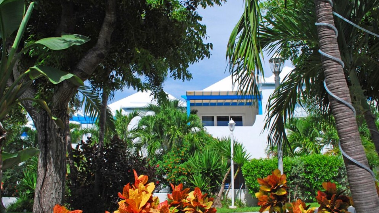 Photo of Outdoor in Paradise Island