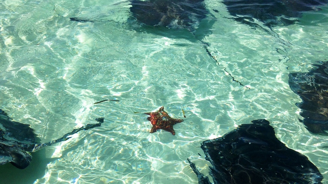 Photo of Others in Berry Islands