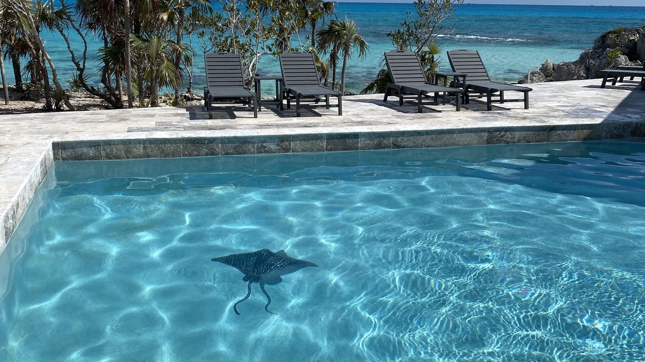 Photo of Outdoor in William's Town