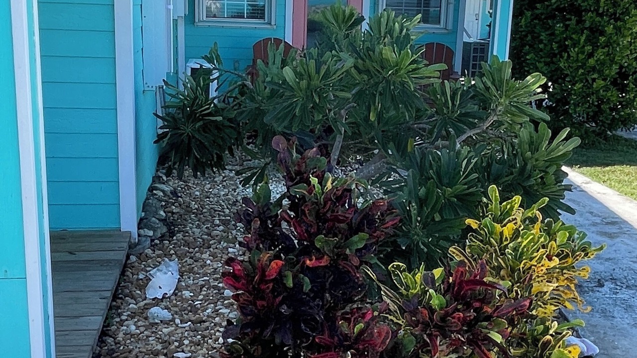 Photo of Outdoor in George Town