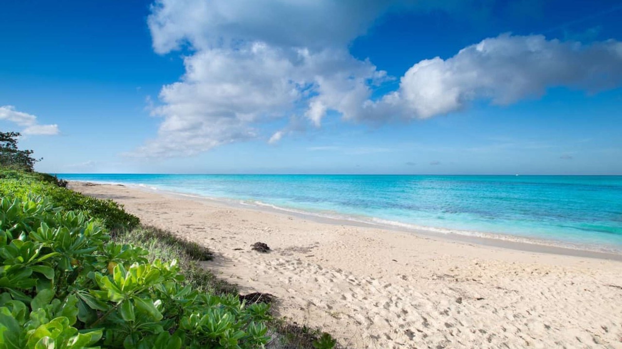Photo of Others in Nassau
