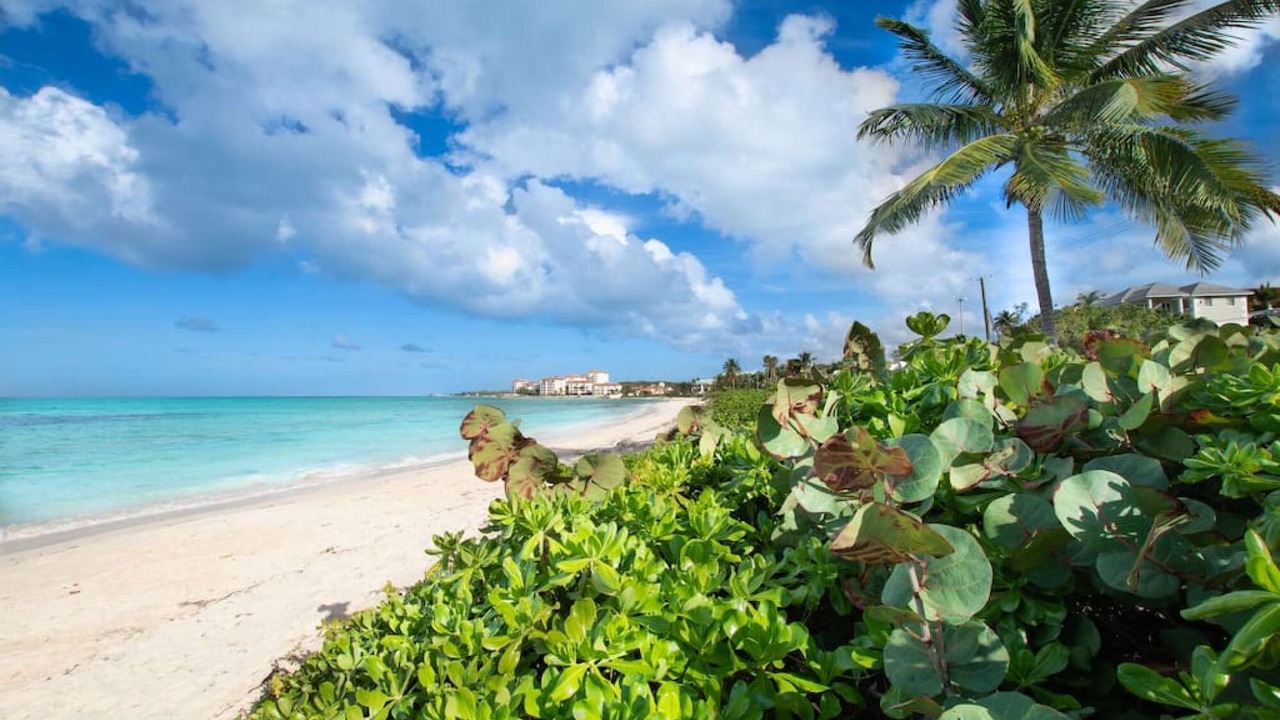 Photo of Others in Nassau