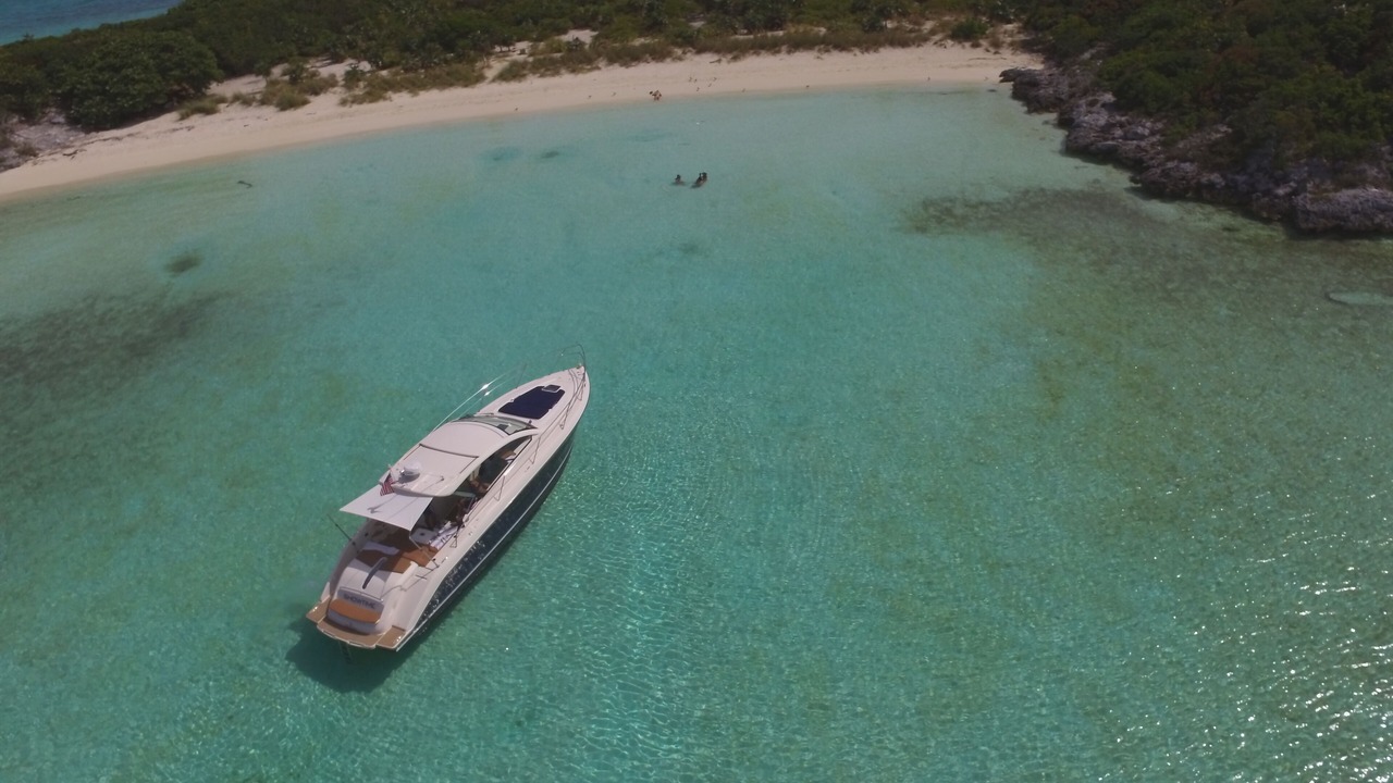 Photo of Others in Palm Cay
