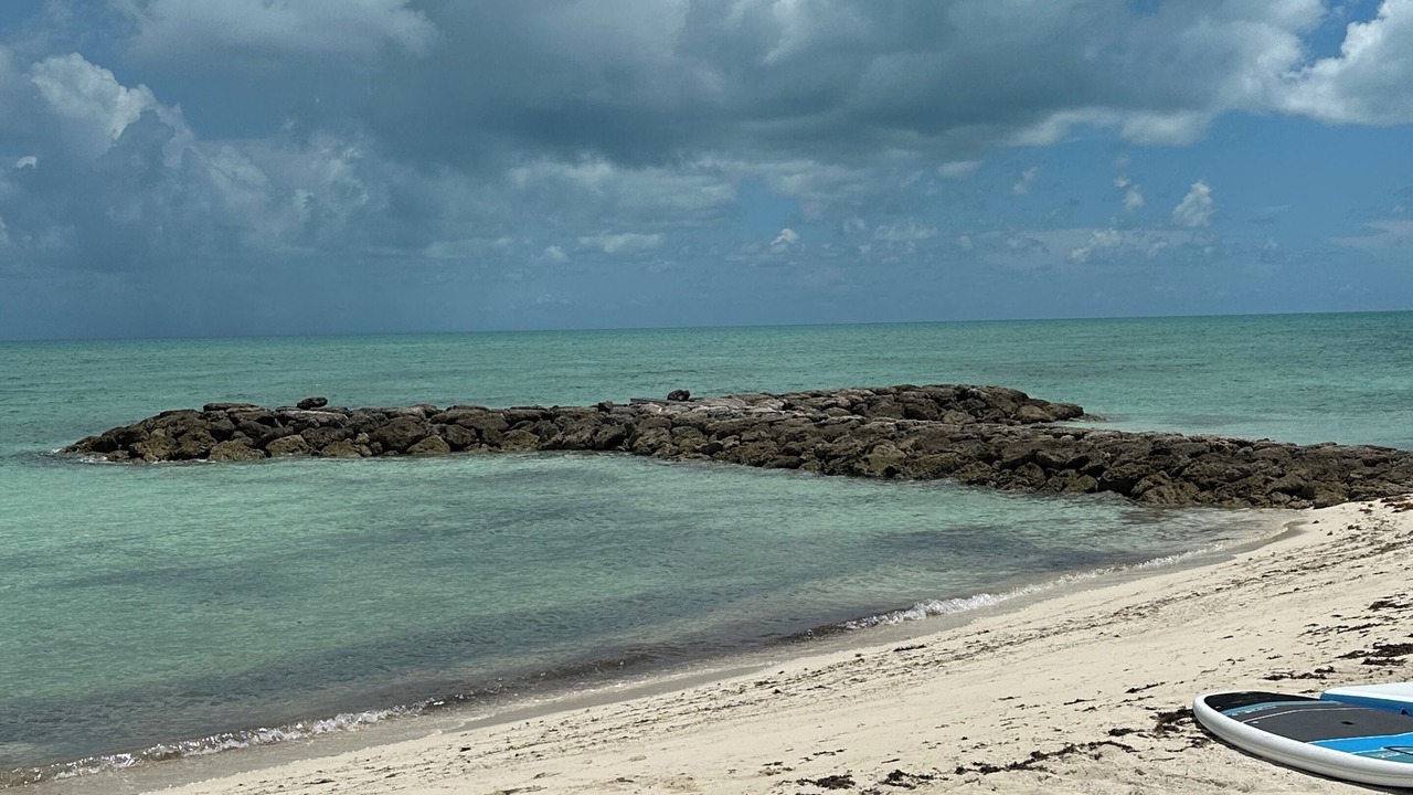 Photo of Others in Palm Cay