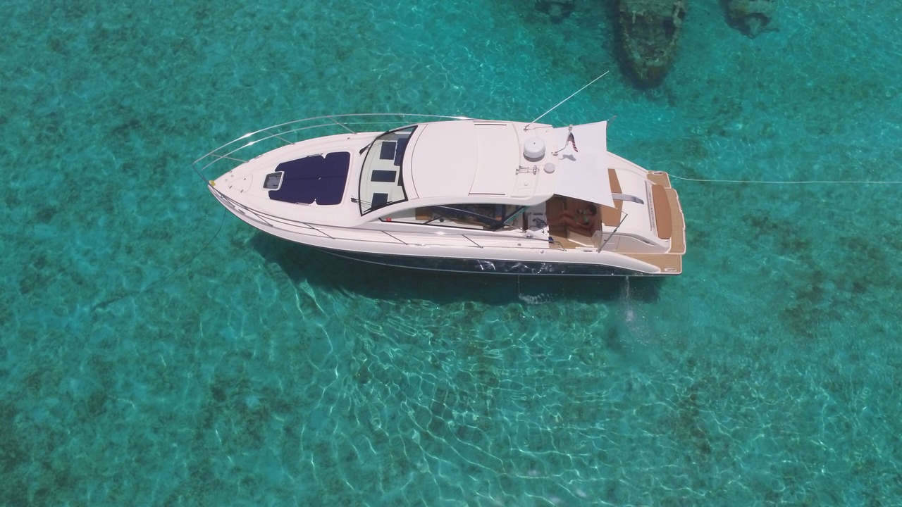 Photo of Others in Palm Cay