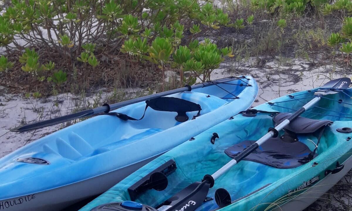 Photo of Others in Orange Creek