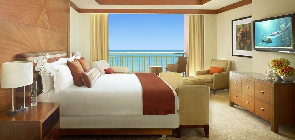 Photo of Others in Paradise Island
