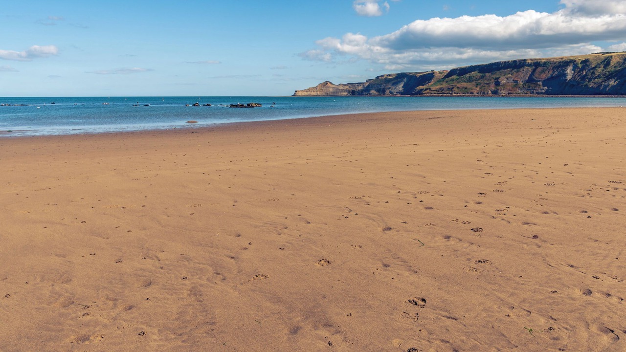 Photo of Others in Runswick Bay