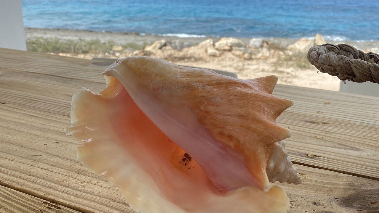 Photo of Others in Eleuthera and Harbour Island