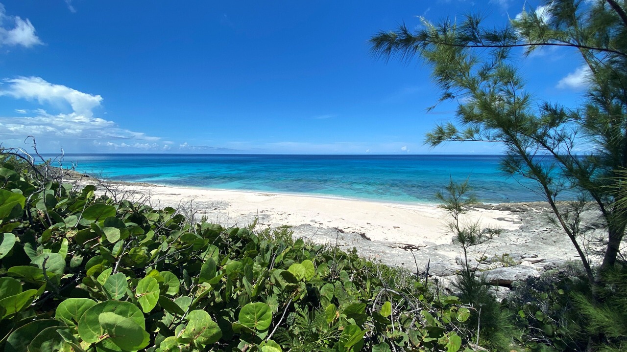 Photo of Others in Eleuthera and Harbour Island