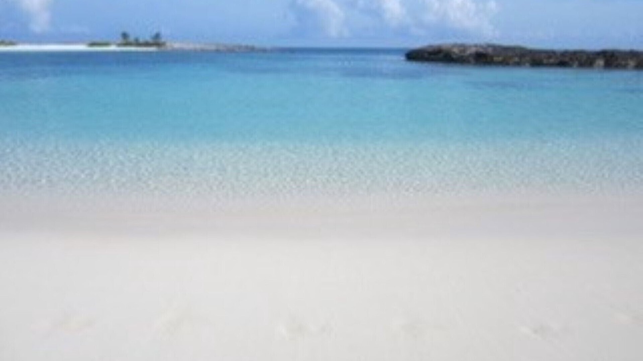 Photo of Others in Paradise Island