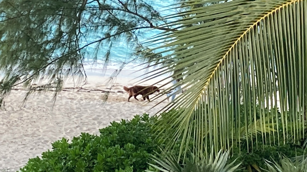 Photo of Others in Great Exuma