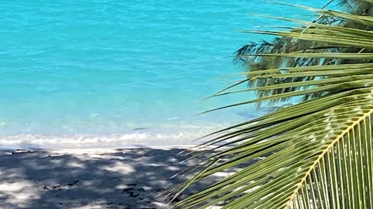 Photo of Others in Great Exuma