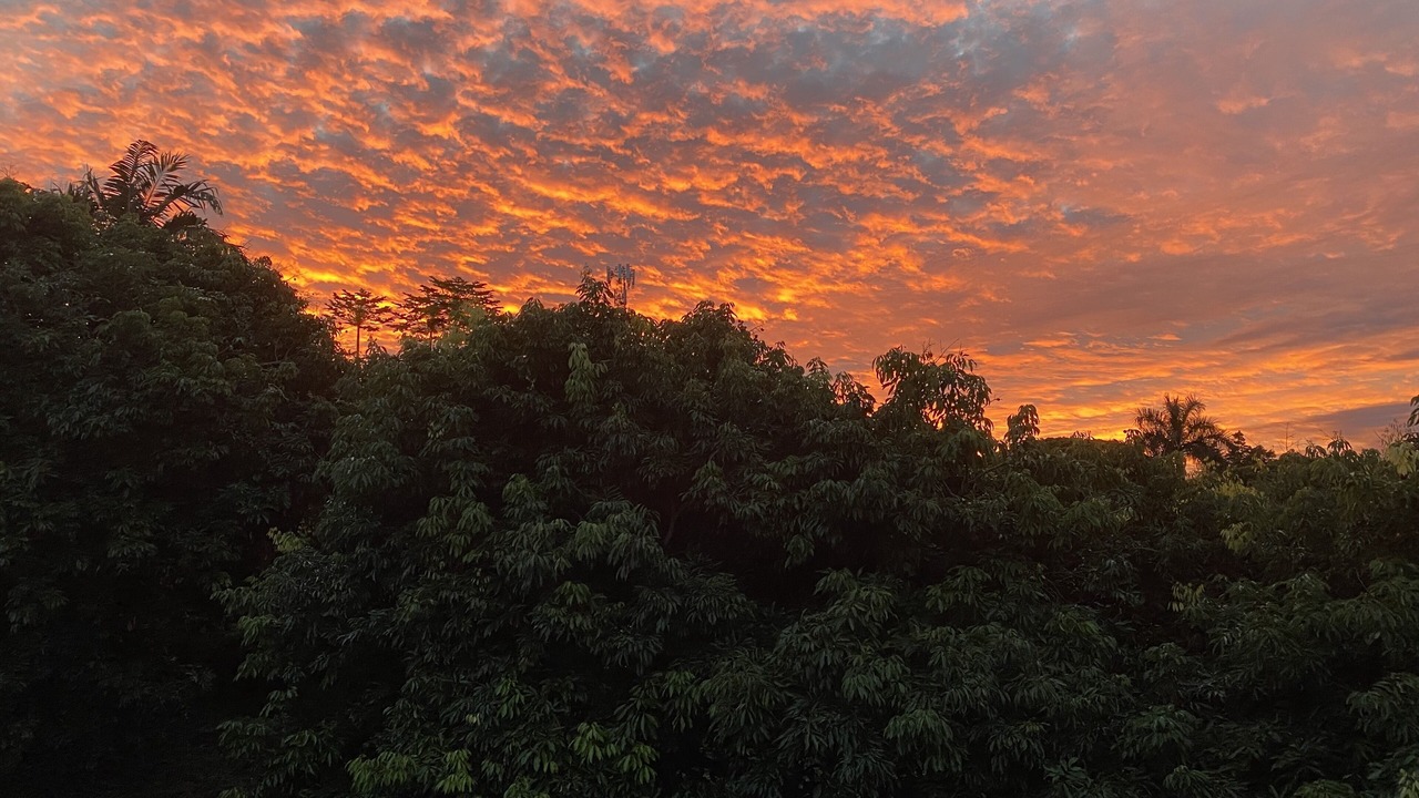 Photo of Outdoor in Honaunau-Napoopoo