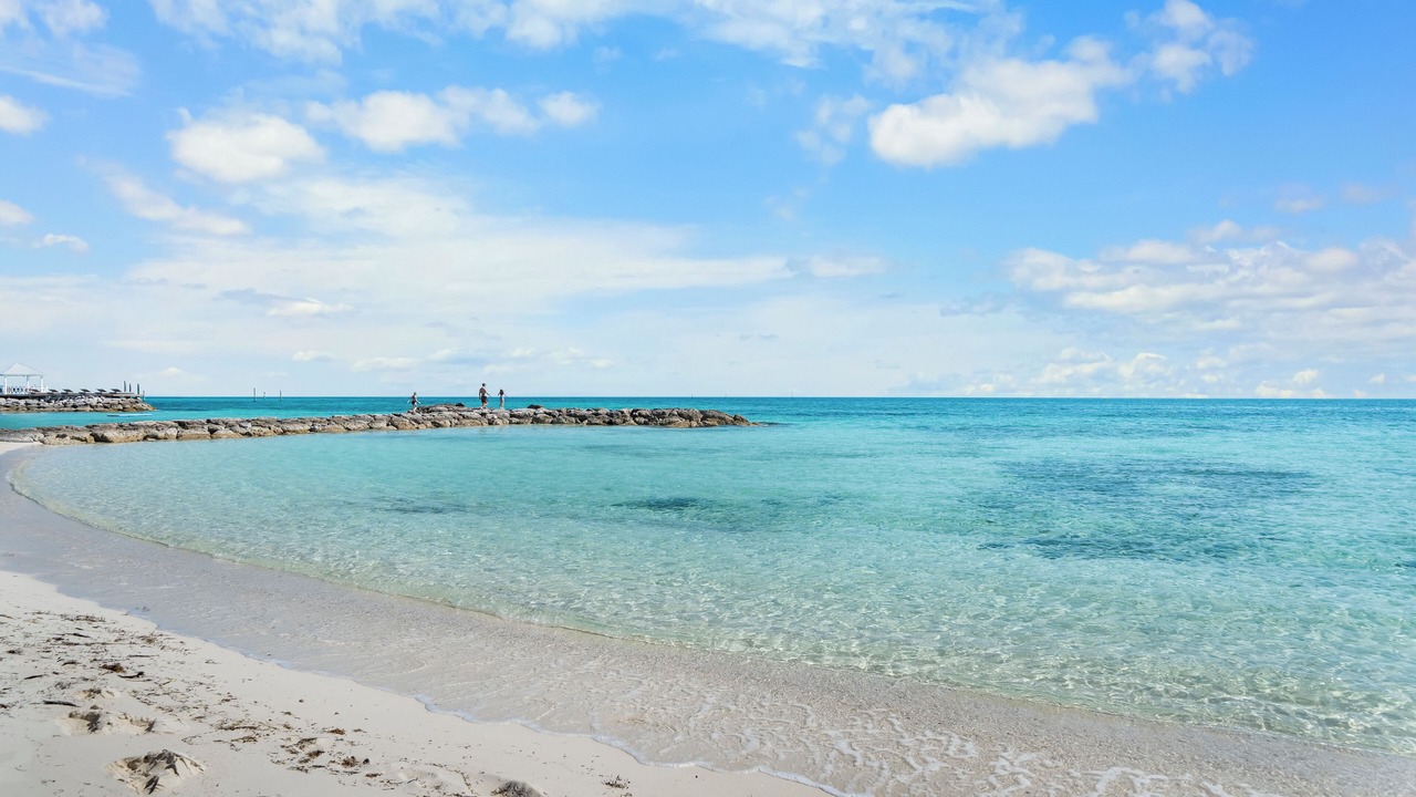 Photo of Others in Palm Cay