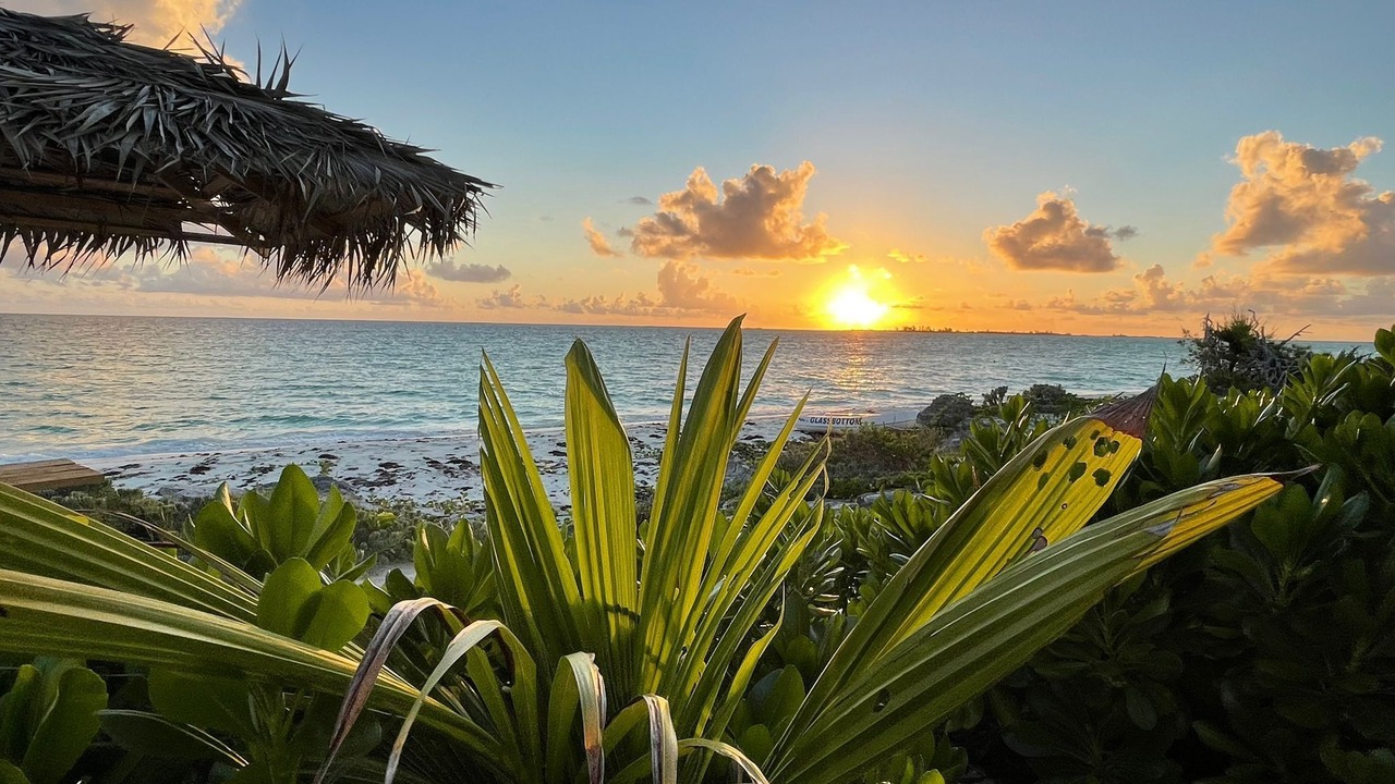 Photo of Others in Great Harbour Cay