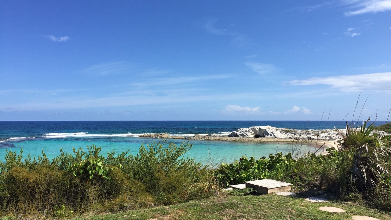 Photo of Others in Salt Pond