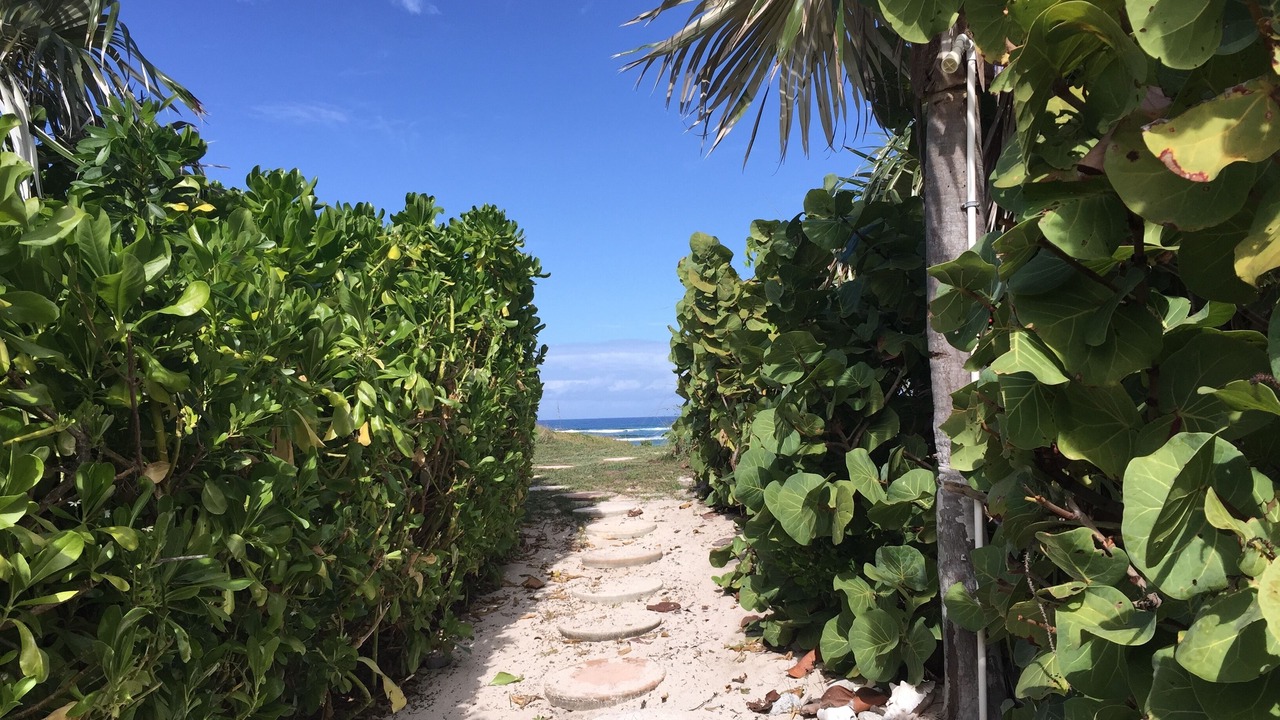 Photo of Outdoor in Salt Pond