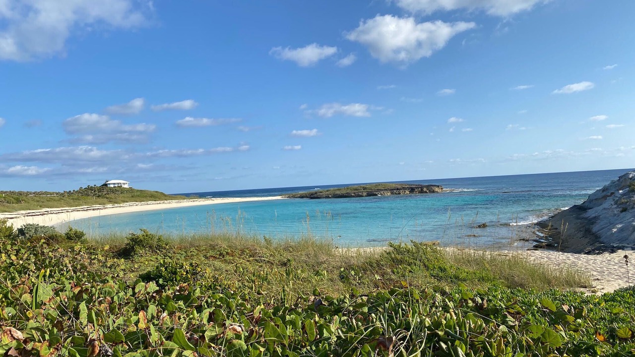 Photo of Others in Salt Pond