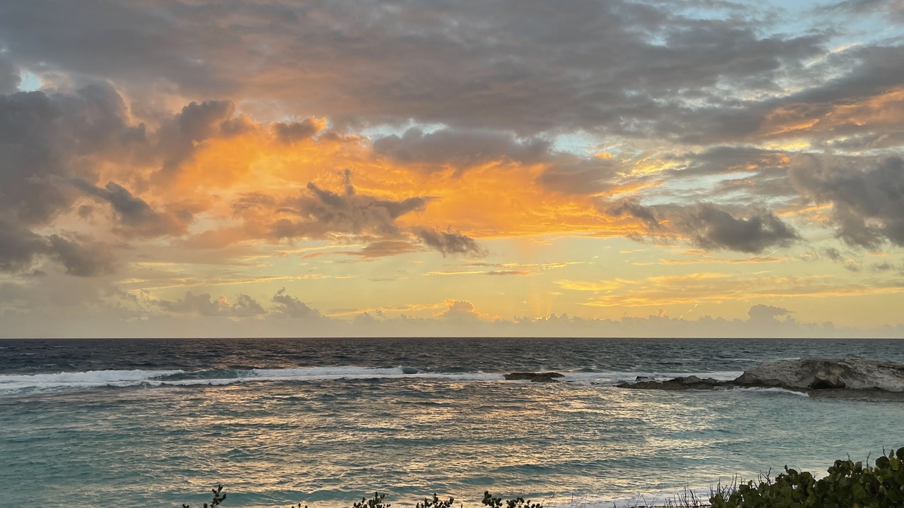 Photo of Others in Salt Pond