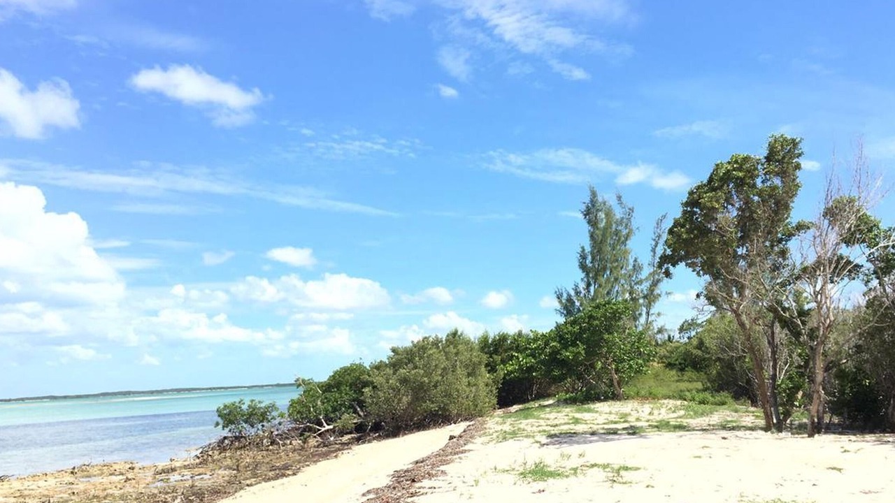 Photo of Others in Mangrove Cay