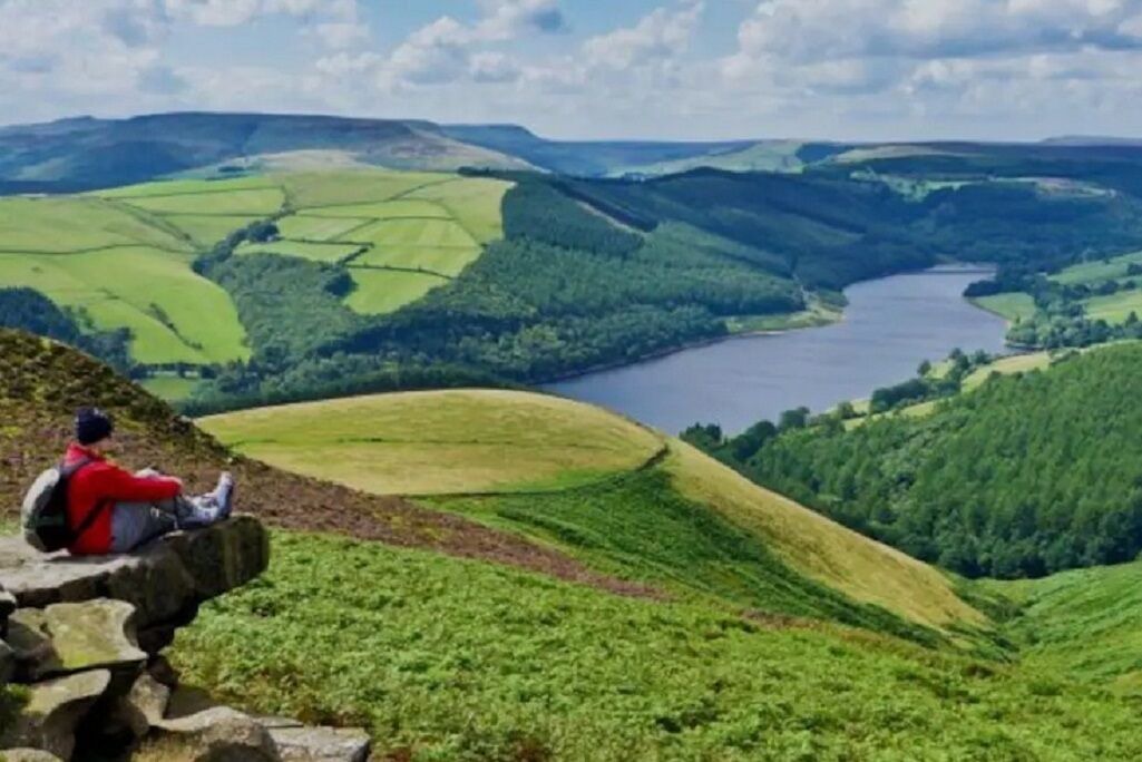 Photo of Others in Newcastle-Under-Lyme