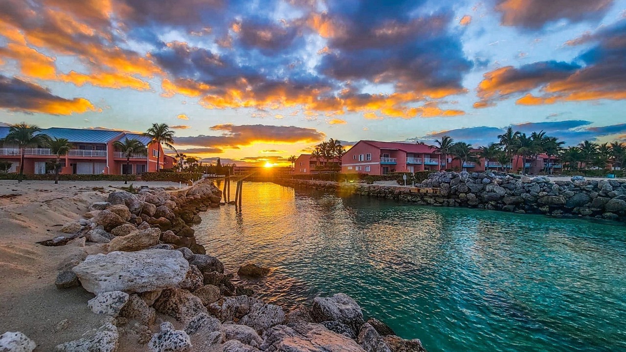 Photo of Others in South Bimini