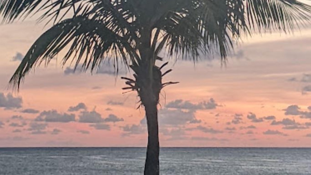 Photo of Others in South Bimini