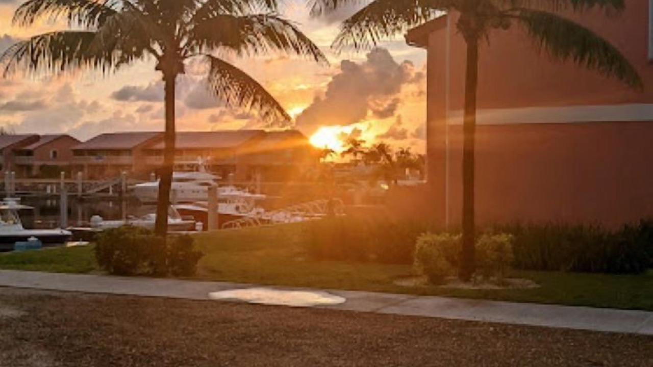 Photo of Others in South Bimini