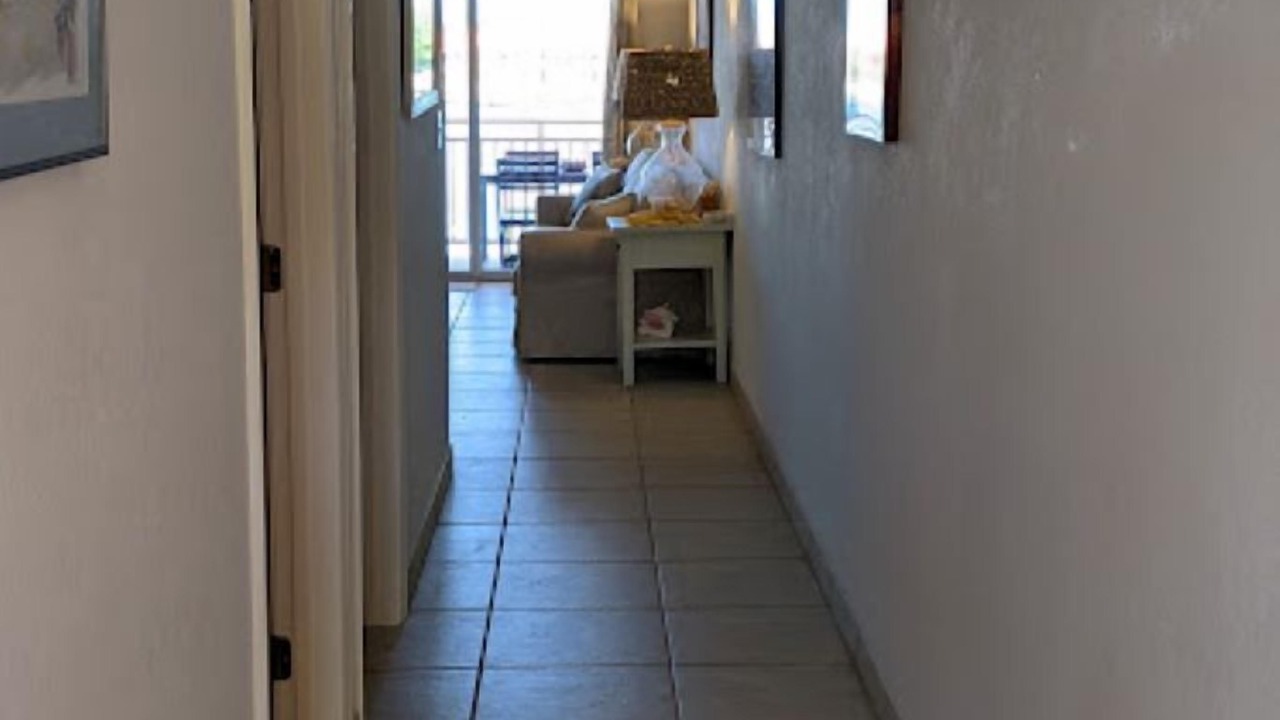 Photo of Others in South Bimini