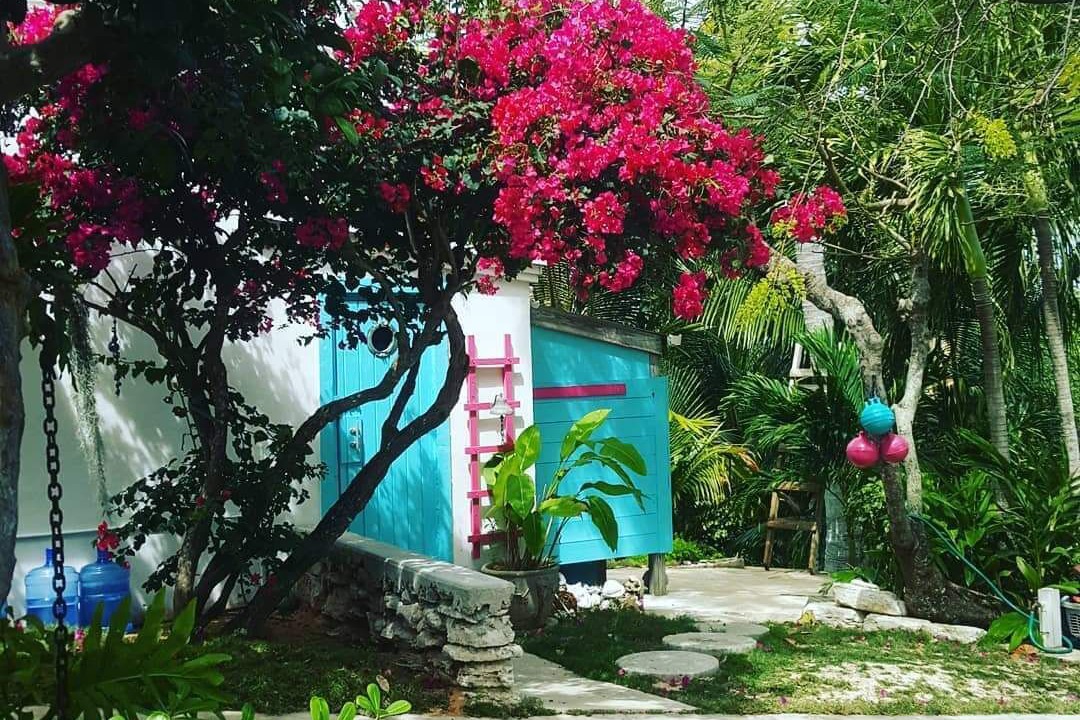 Photo of Outdoor in Gregory Town