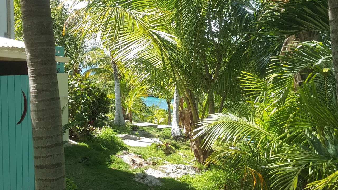 Photo of Outdoor in Gregory Town