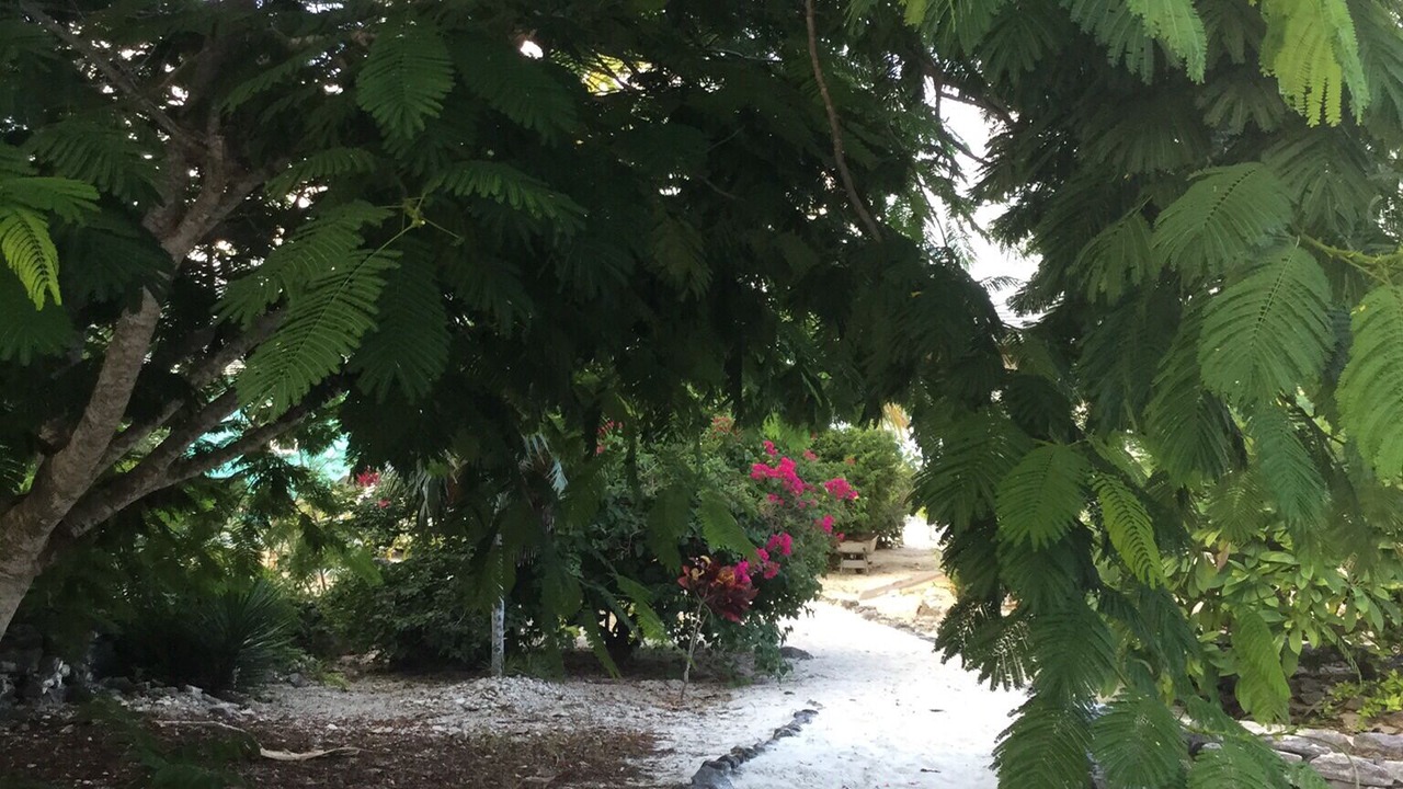 Photo of Outdoor in Orange Creek