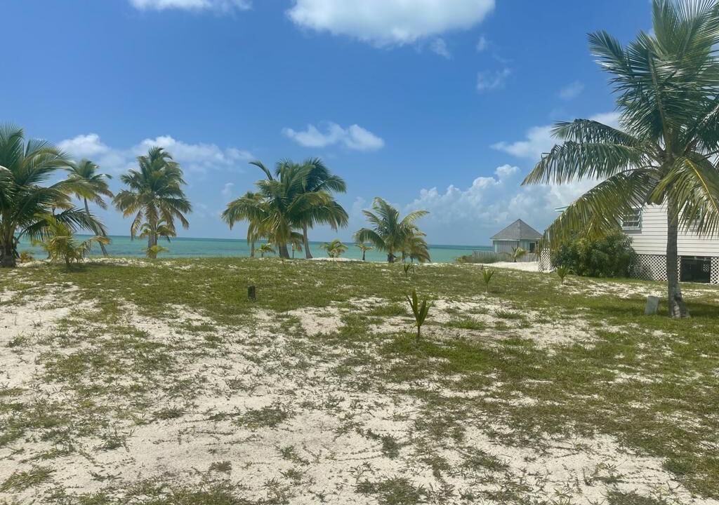 Photo of Others in Bahama Palm Shores